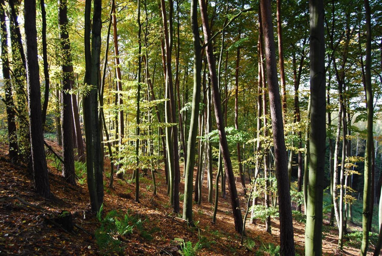 Osrodek Wypoczynkowy Laguna Lubniewice Buitenkant foto