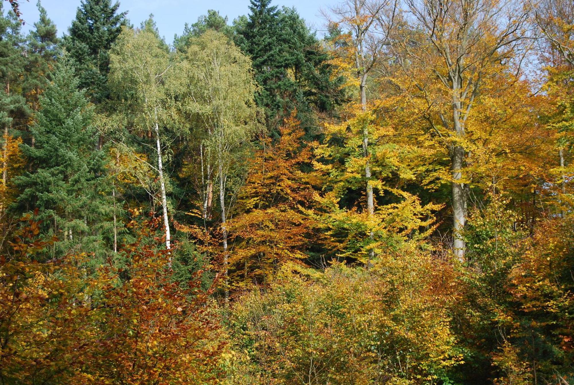 Osrodek Wypoczynkowy Laguna Lubniewice Buitenkant foto